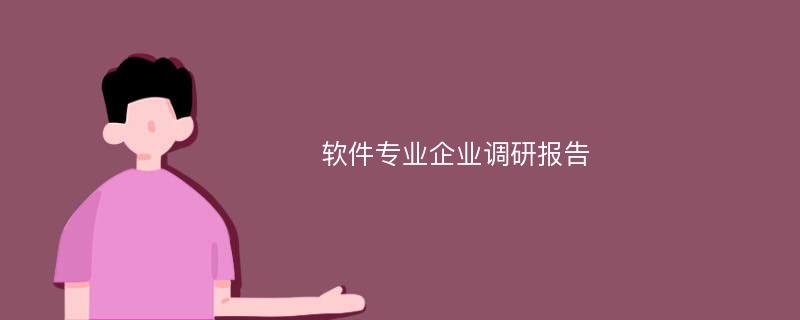 软件专业企业调研报告