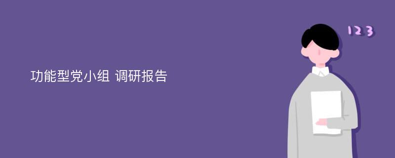 功能型党小组 调研报告